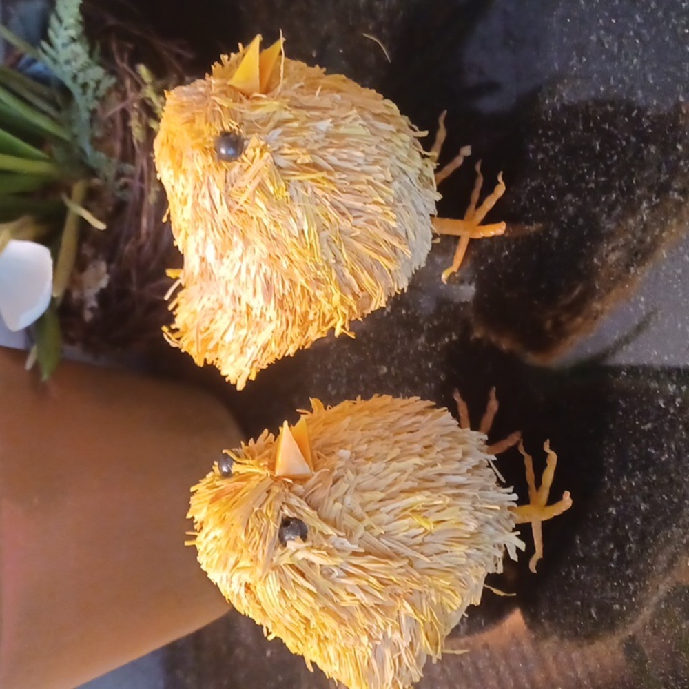 Pottery Barn (2) Easter Chicks